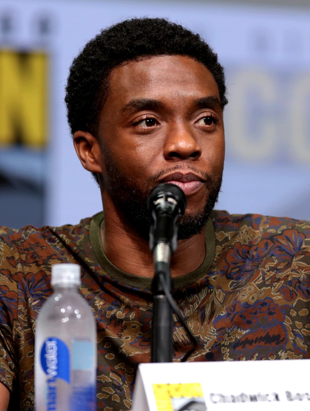 Photo of Chadwick Boseman