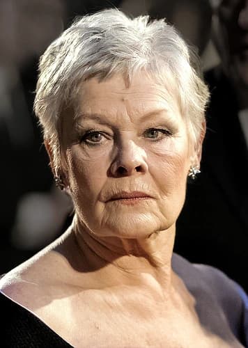 Photo of Judi Dench
